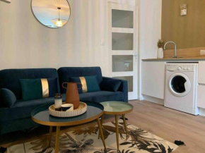Appartement Agen hyper centre + Parking